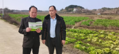 《中国人寿财险：以央企担当深耕农业保险领域》